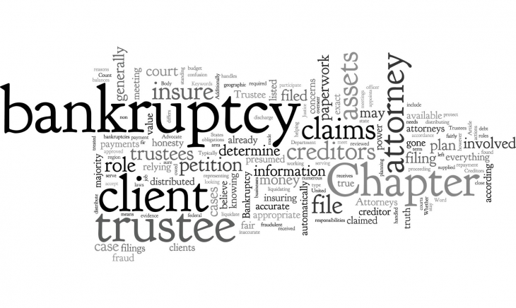 What is a Bankruptcy Trustee and What Role Do They Play?
